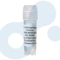 M1型 巨噬 分离培养服务 | M1 Macrophages | 单核来源M1巨噬