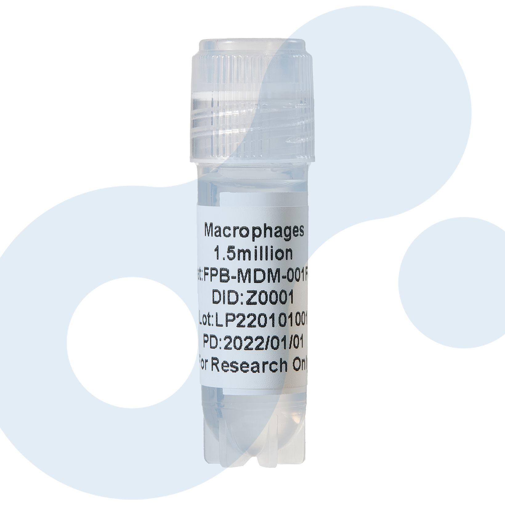 巨噬细胞分离培养服务 | Macrophages | 单核细胞来源巨噬细胞