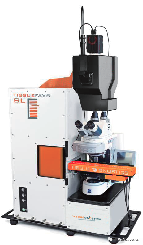 Nature| TissueFAXS Q+助力灵长类动物中间神经元的新发现