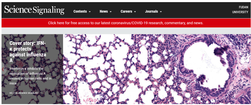 Science Signaling| 揭示IFN-κ抑制RNA病毒复制的分子机制