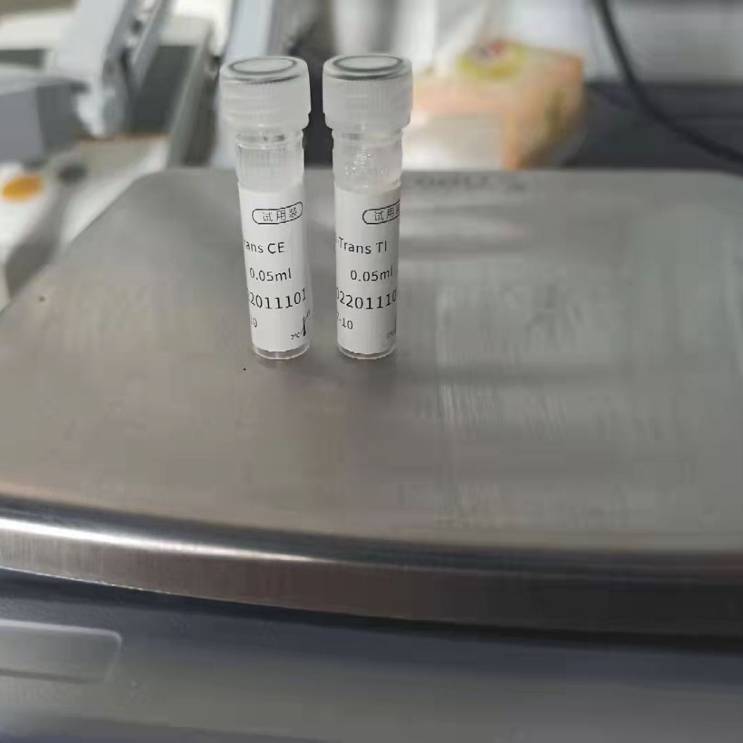 FanRi-Trans lip3000细胞转染试剂