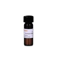 蛋白酶K Proteinase K (20mg/ml)