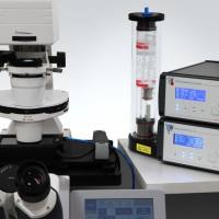 新的ibidi镜载活细胞培养系统