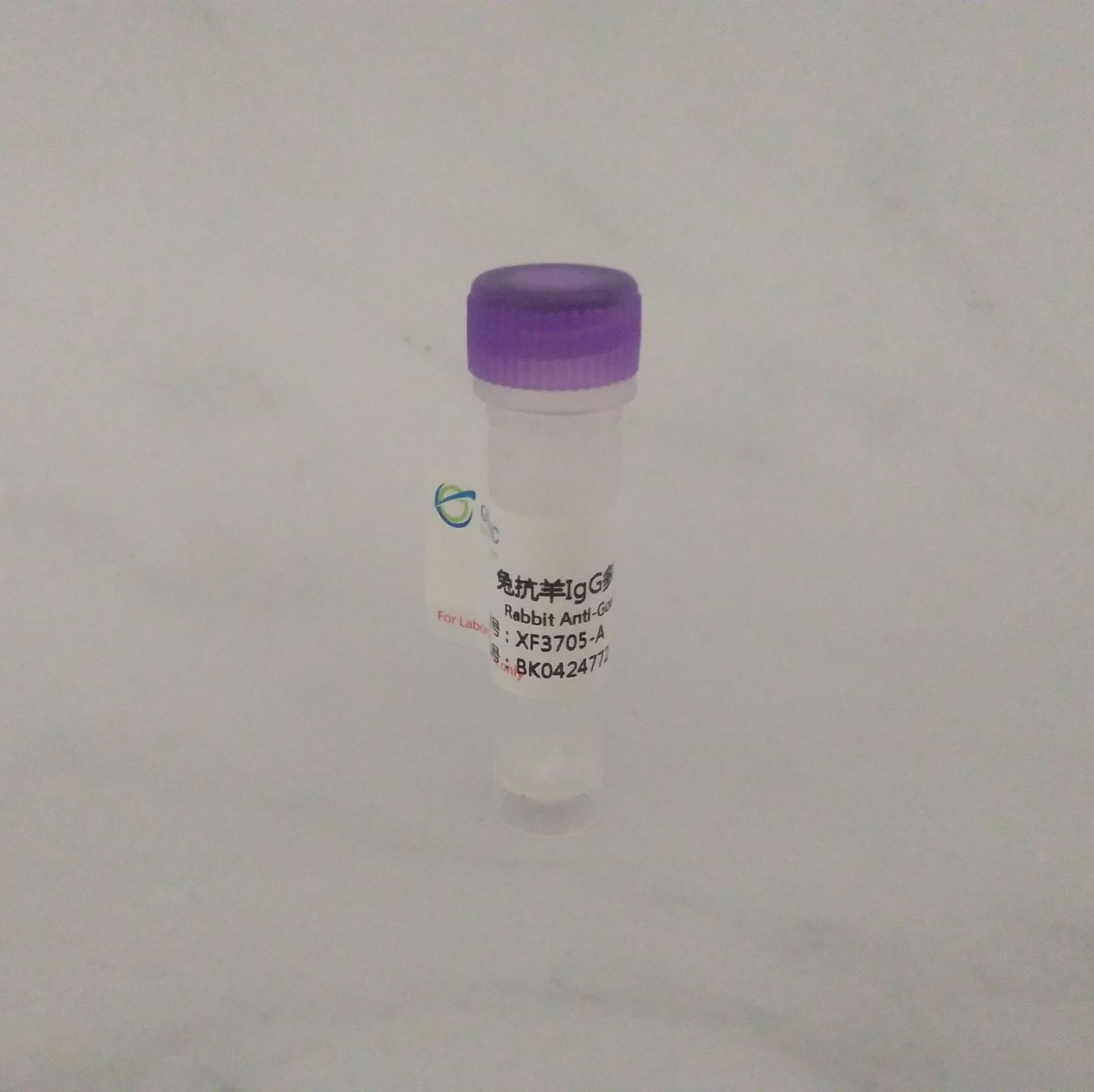 猫疱疹I型（FHV-5G9）包被抗体