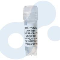 CD3+T细胞 | CD3 分离服务 | 人CD3细胞 | 分选CD3细胞