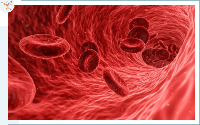 渗透压：我，不可忽视！