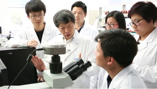 深耕聚焦超声治疗领域 34 年，王智彪教授获美国聚焦超声基金会首届「临床应用奖」