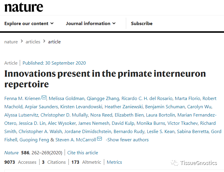 Nature| TissueFAXS Q+助力灵长类动物中间神经元的新发现