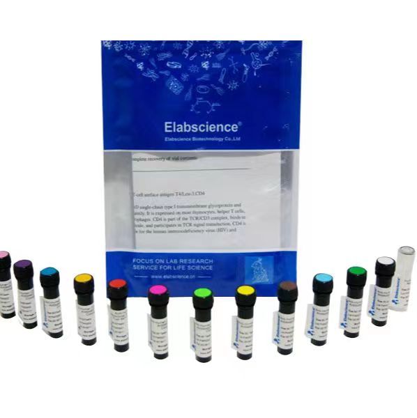 APC Anti-Mouse CD115 Antibody|流式抗体[AFS98]