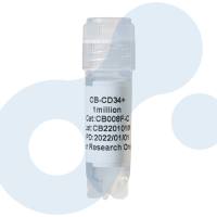 CD34 分离服务 | 人分选CD34细胞 | 干/祖细胞