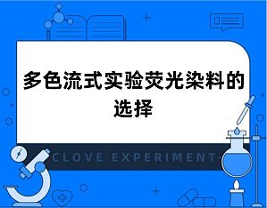 丁香实验推荐阅读