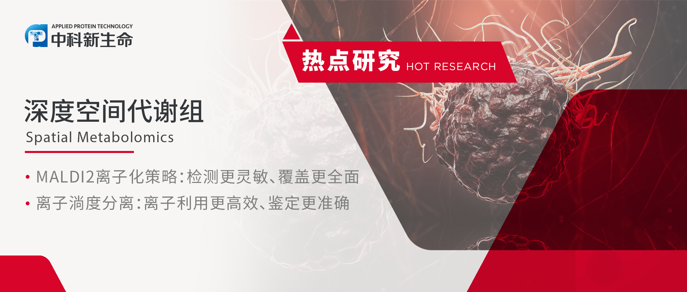 肿瘤空间代谢组学专题 | 线上研讨会热点问题解答及经典案例分享