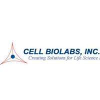 pAAV-GFP Control Vector pAAV-GFP AAV包装对照质粒