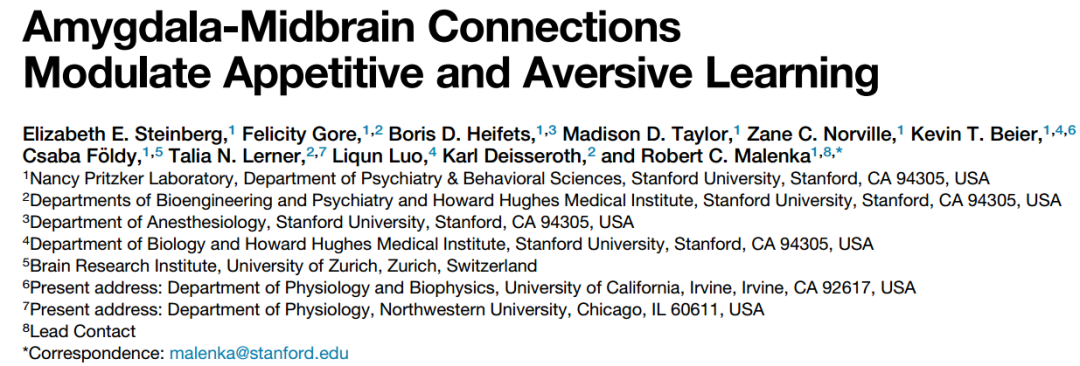 【文献解读】杏仁核到黑质的神经连接调节食物奖赏和厌恶学习