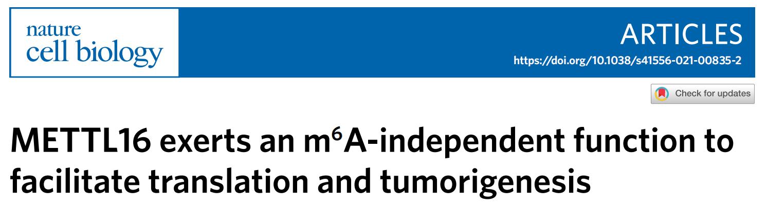 Polysome 技术应用：NATURE CELL BIOLOGY（IF=20.761）METTL16促进翻译和肿瘤发生的作用和机制