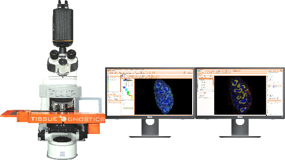 多组学数据标准的验证利器分享——TissueFAXS Cytometry技术