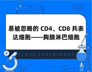 丁香实验推荐阅读