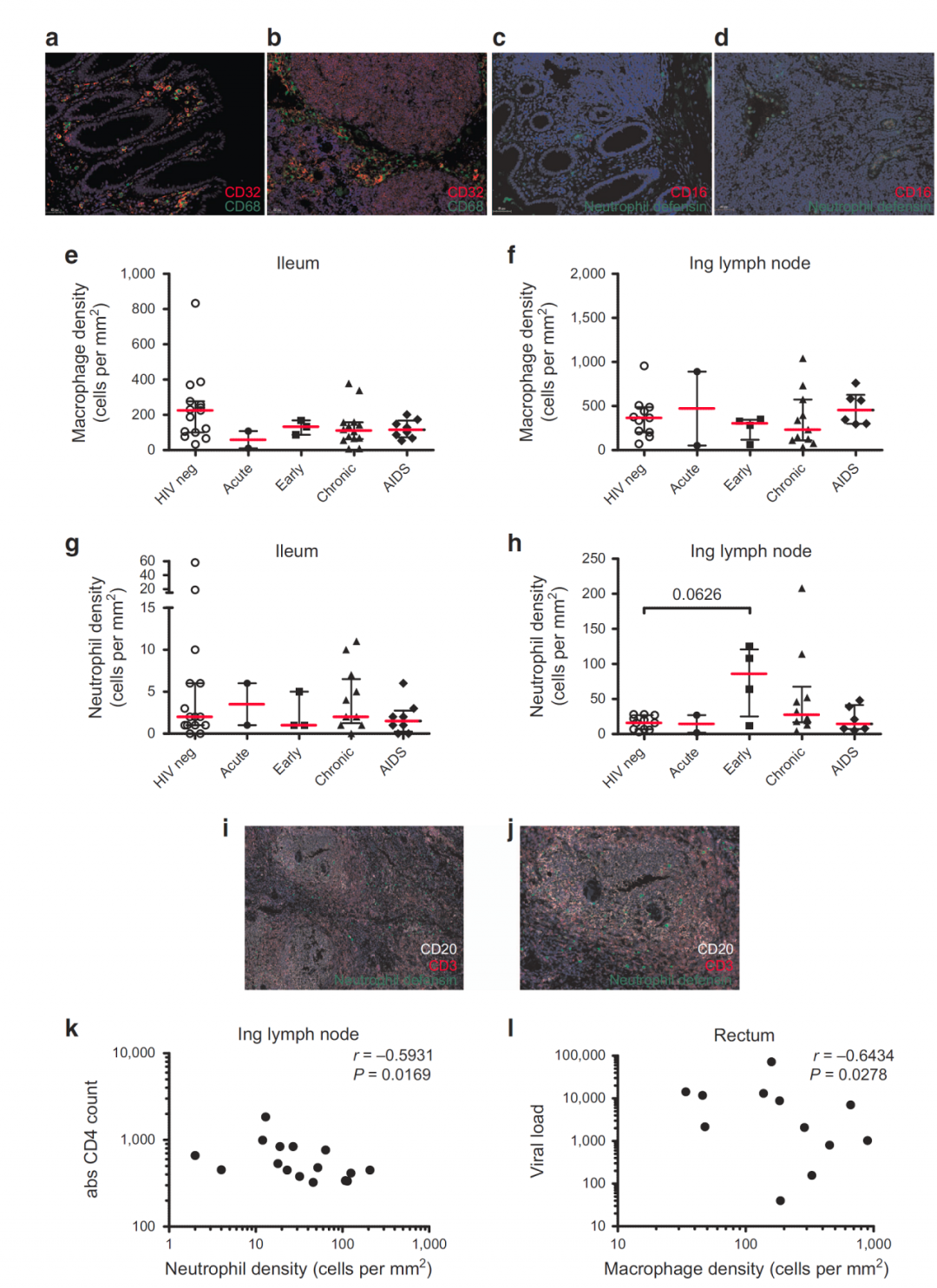 TissueFAXS Cytometry技术——组织原位辅助疫苗研发的新策略