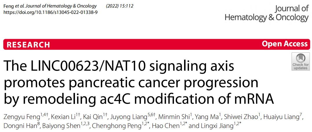 LINC00623/NAT10信号轴通过重塑mRNA的ac4C修饰水平来促进胰腺癌发展