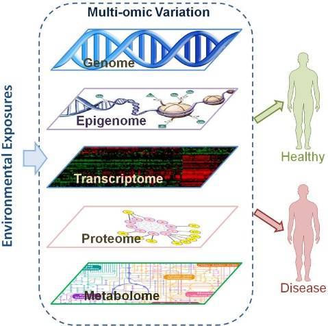 多组学数据标准的验证利器分享——TissueFAXS Cytometry技术