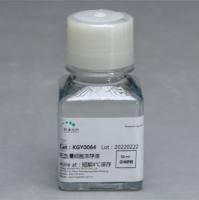 无血清冻存液KGL2311-100