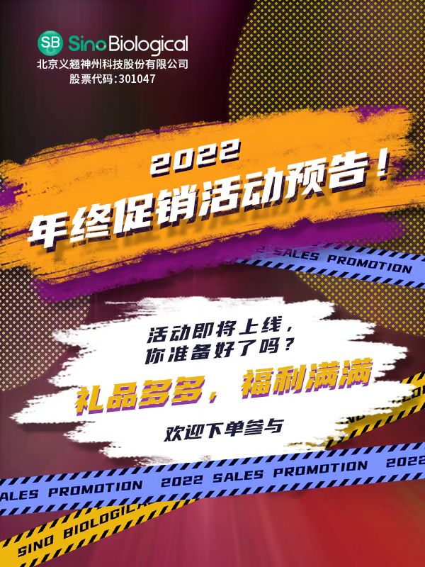 义翘神州年终促销比双十一更长久