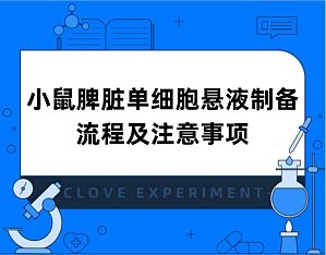 丁香实验推荐阅读