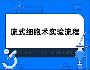 丁香实验推荐阅读