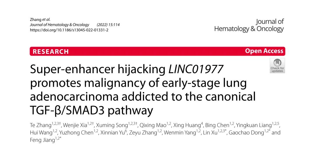 J Hematol Oncol（IF23+）丨锐博动物用ASO助力发现SE劫持的LINC01977可作为早期LUAD潜在治疗靶点
