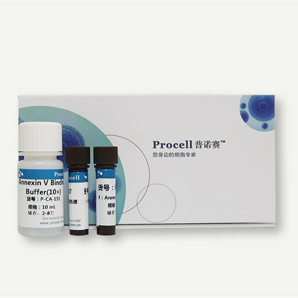 Annexin V-APC/ 7-AAD荧光双染细胞凋亡检测试剂盒