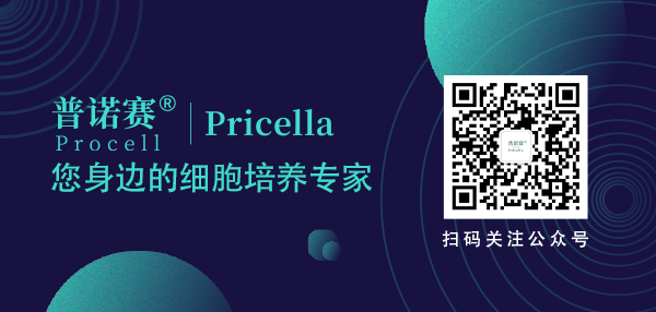 嗨购双11 | STR鉴定服务免费送