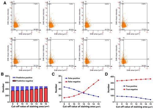 法医病理学：利用TissueFAXS系统精准识别大鼠挫伤性骨骼肌再生过程中性粒细胞