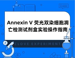 丁香实验推荐阅读