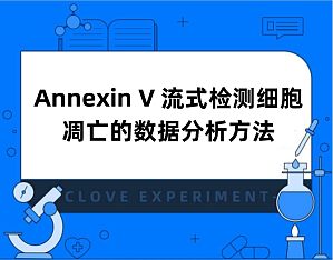 丁香实验推荐阅读