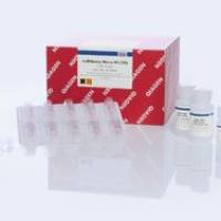 Qiagen 微量样本miRNA和总RNA提取试剂盒217084