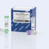 Qiagen 218073 荧光定量PCR试剂盒200T
