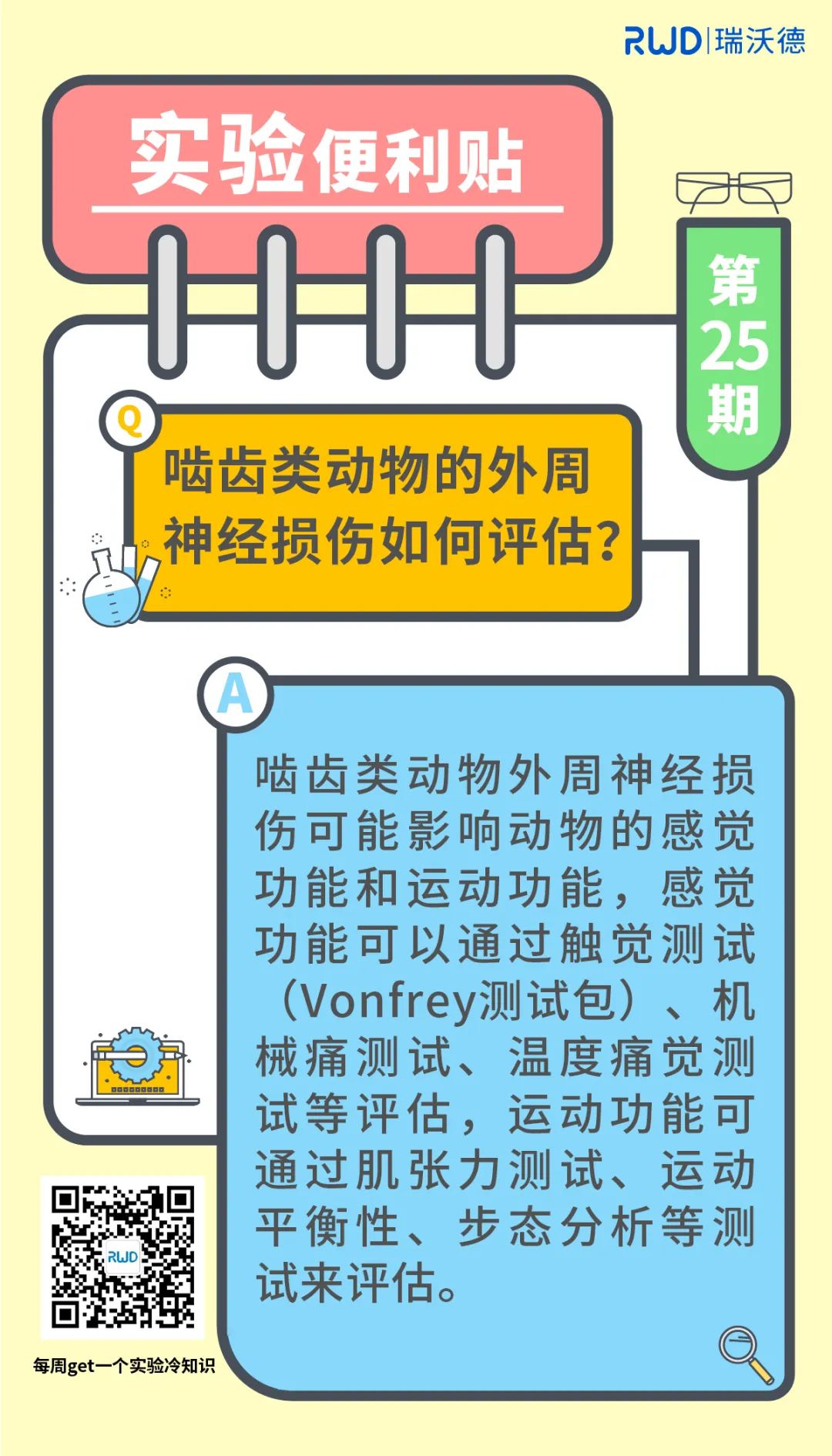 啮齿类动物的外周神经损伤如何评估？