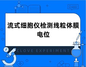 丁香实验推荐阅读
