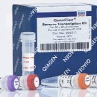 Qiagen 205311 反转录试剂盒