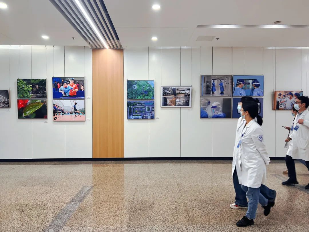 这家医院把走廊布置成了艺术展厅！「美在浙里·爱在浙四」