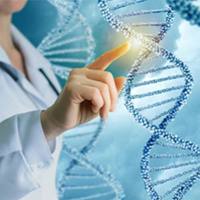 细胞鉴定服务丨人源STR鉴定丨小鼠STR鉴定丨种属鉴定