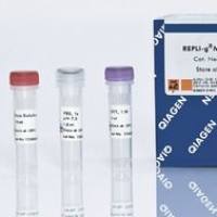 Qiagen微量样本全基因组扩增试剂盒150025