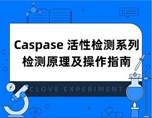 丁香实验推荐阅读