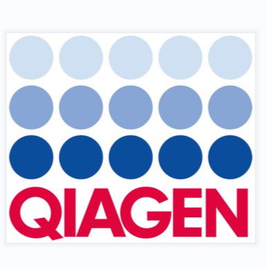 Qiagen 51104 血液基因组DNA小提试剂盒 50T