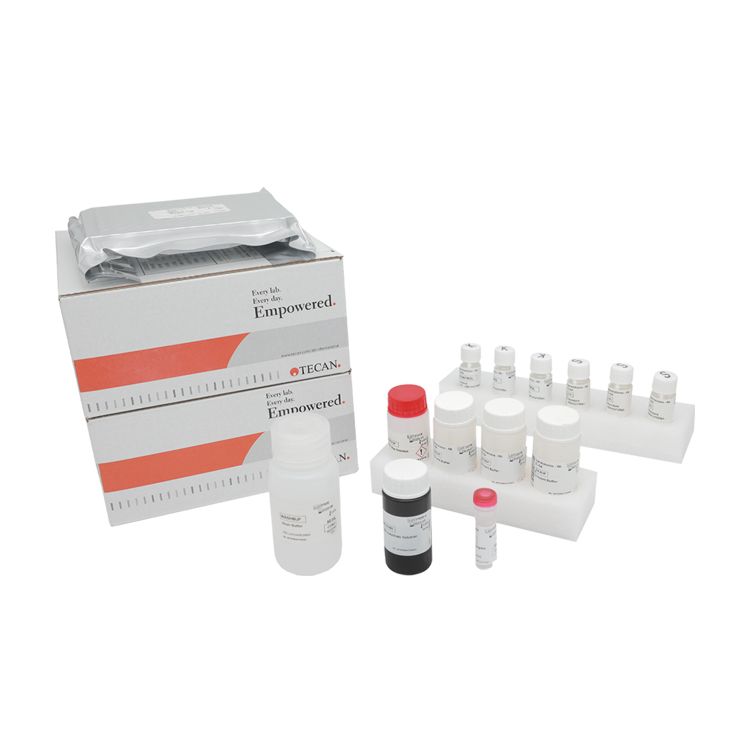 麻疹病毒IgG/IgM检测试剂盒（间接法/捕获法）进口