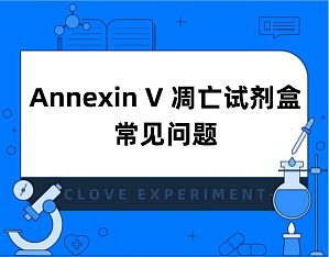 丁香实验推荐阅读