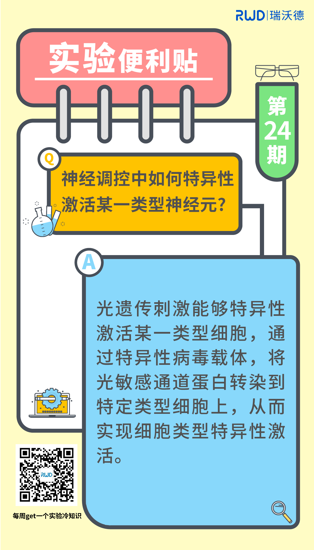 神经调控中，如何特异性激活某一类型神经元?