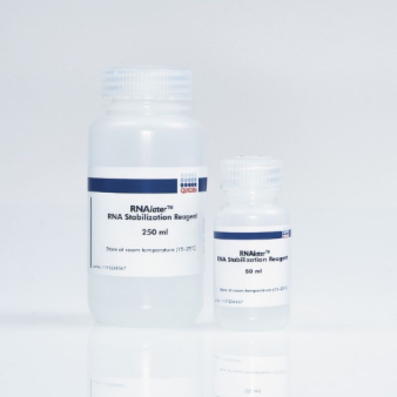 Qiagen 76104组织样品RNA稳定液