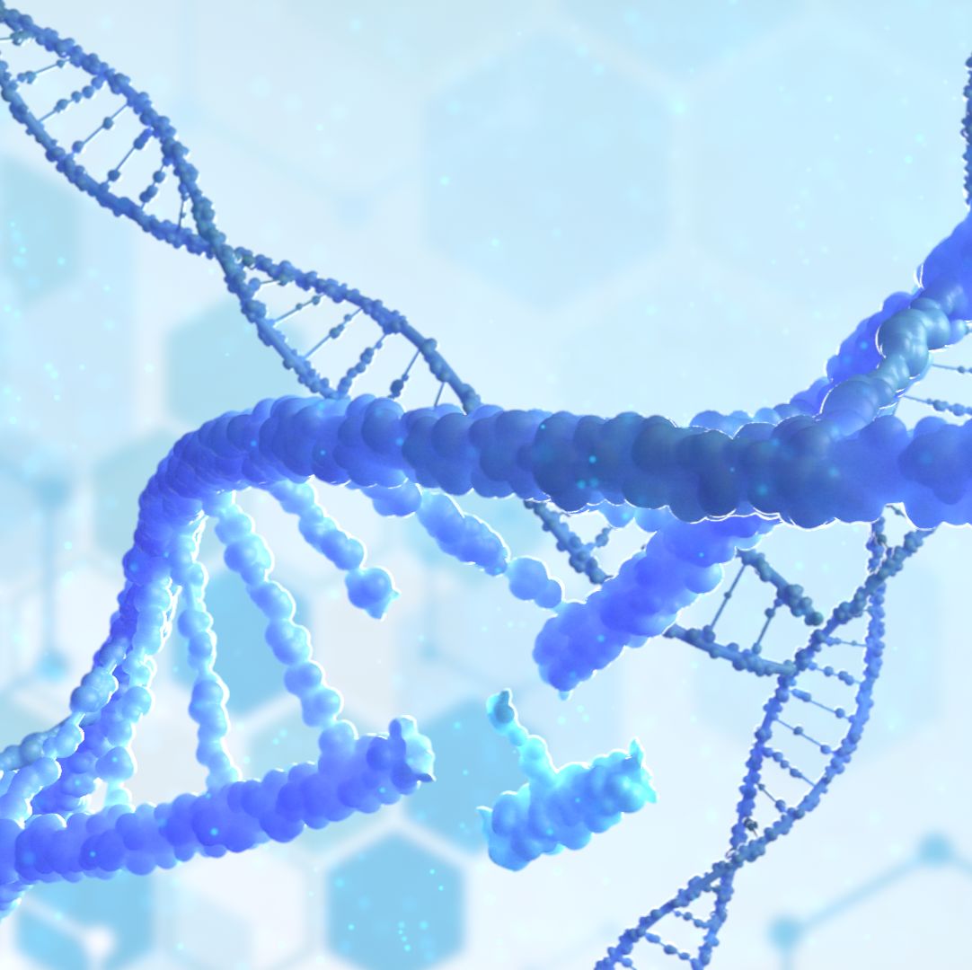 E00902 Ribonuclease HII-2 （核糖核酸酶 HII）