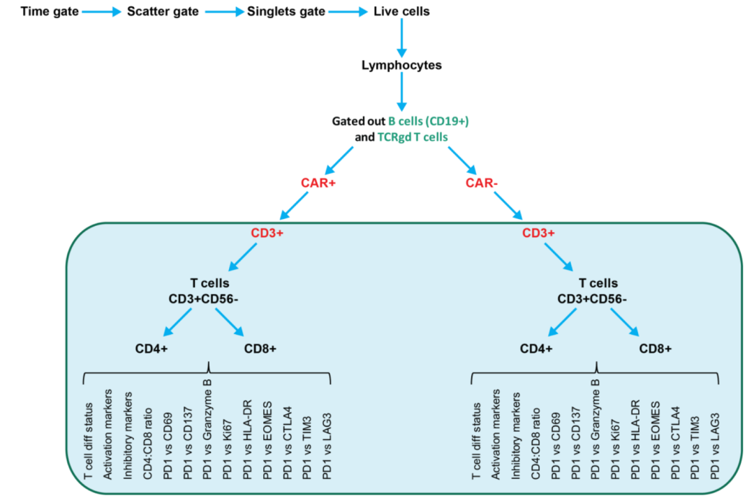 CAR-T细胞产品的免疫表型影响临床疗效，EGFRvIII 特异性 CAR-T细胞的PD-1表达可预测复发性脑胶质瘤的治疗效果